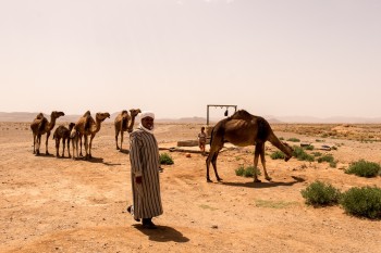 View from Erg Chebbi in Morocco